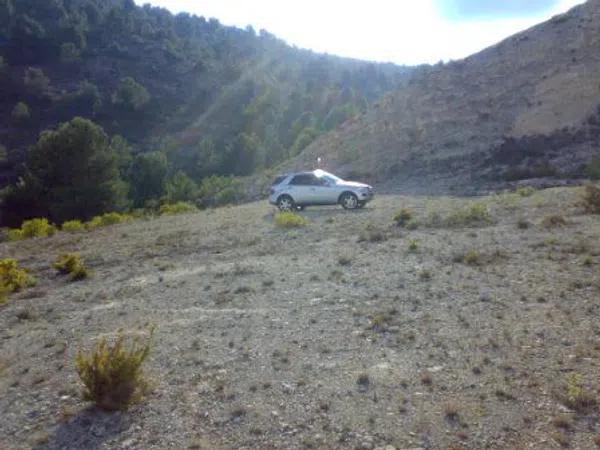 Terreno en carretera de Sax, km 4