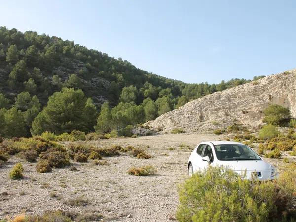 Terreno en carretera de Sax, km 4