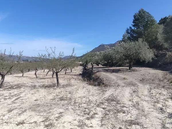 Terreno en Albagas, 4