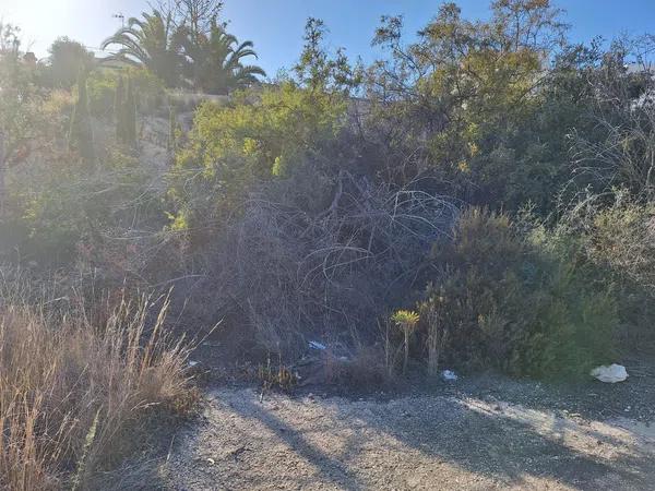 Terreno en calle Estocolmo