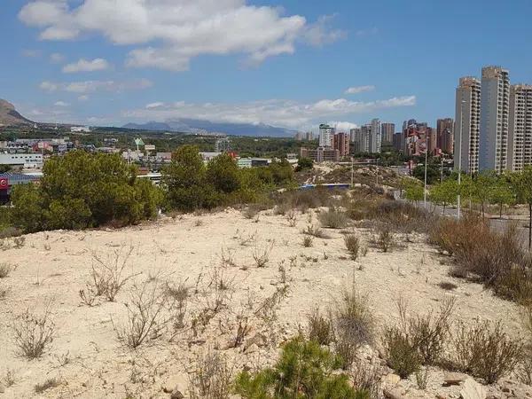 Terreno en Partida la Cala