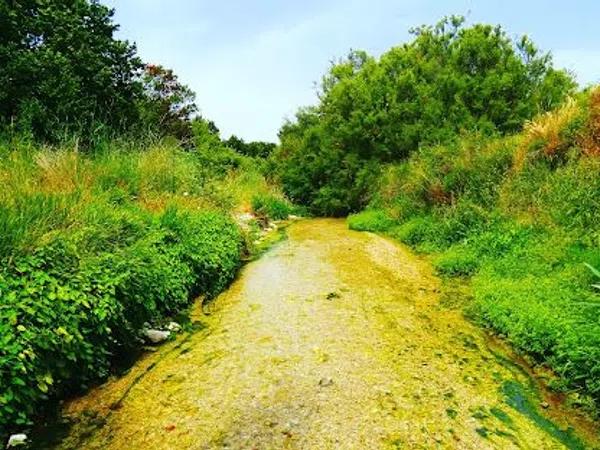 Terreno en calle Mar Tirreno, 6