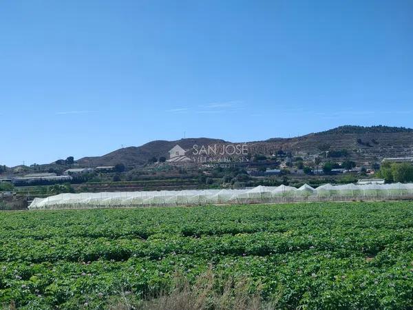 Terreno en Pedanías Este