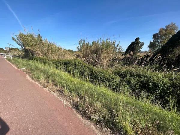 Terreno en camino de Gandia a Dénia, 71 -29