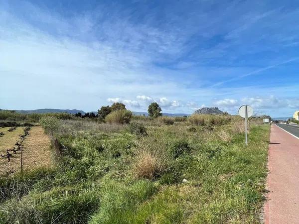 Terreno en camino de Gandia a Dénia, 71 -29