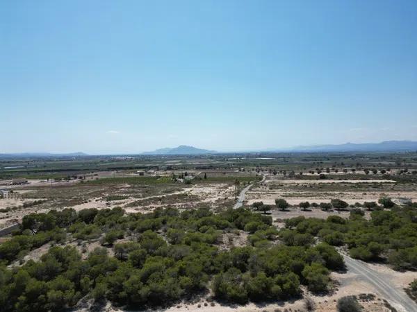 Terreno en La Marina