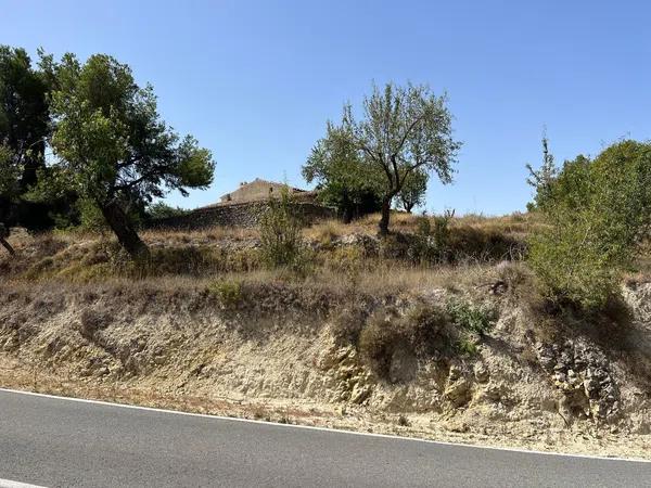 Terreno en Torremanzanas