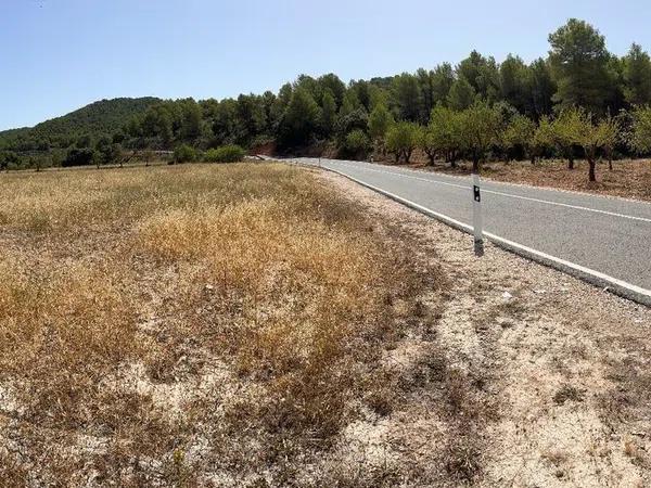 Terreno en Torremanzanas