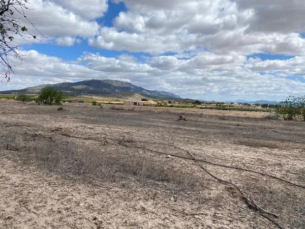 Terreno en Pinoso