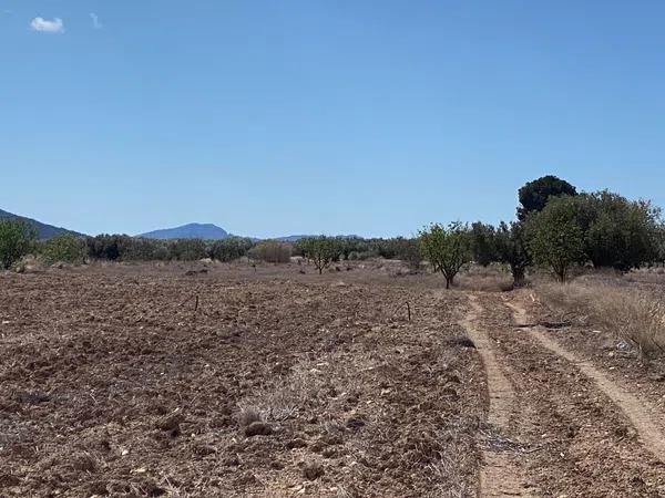 Terreno en Pinoso