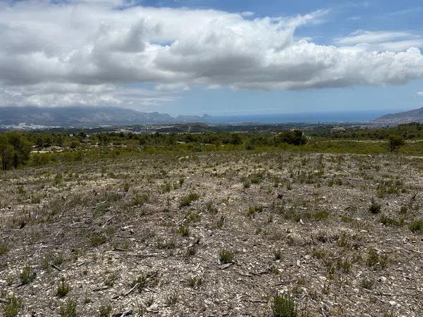 Terreno en camino de la Monja, 2