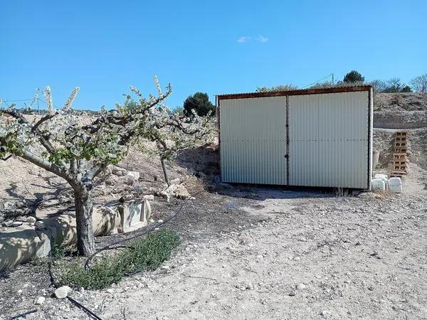 Terreno en Monforte del Cid