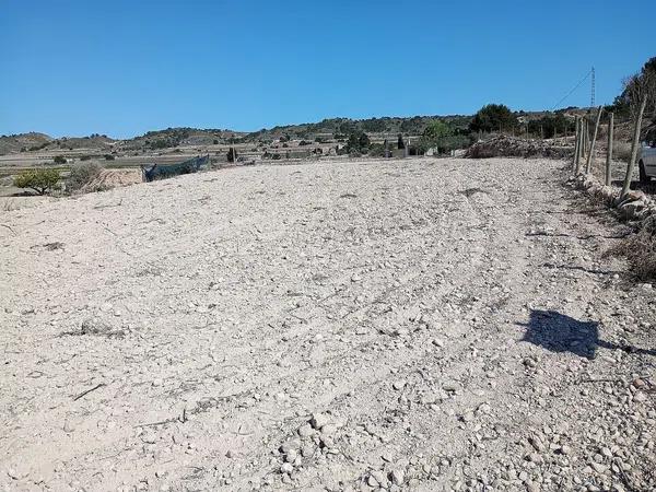 Terreno en Monforte del Cid