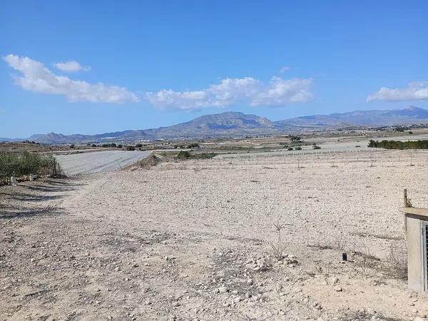 Terreno en Monforte del Cid