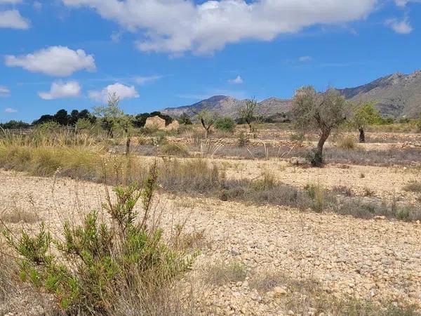 Terreno en Toscar de Cuja, 19