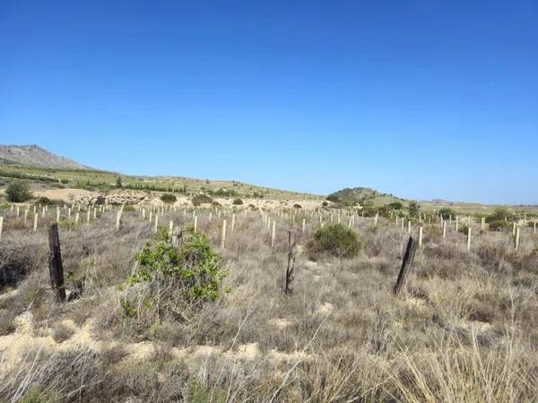 Terreno en Partida Sarganella, 93