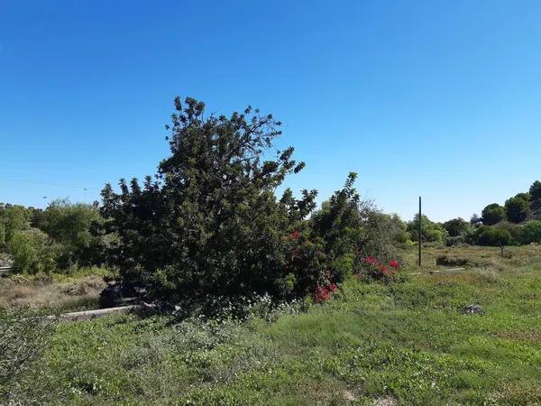 Terreno en Salafranca - Lloixa