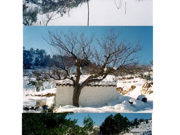 Terreno en Partida Santamaria, 34 P. 295