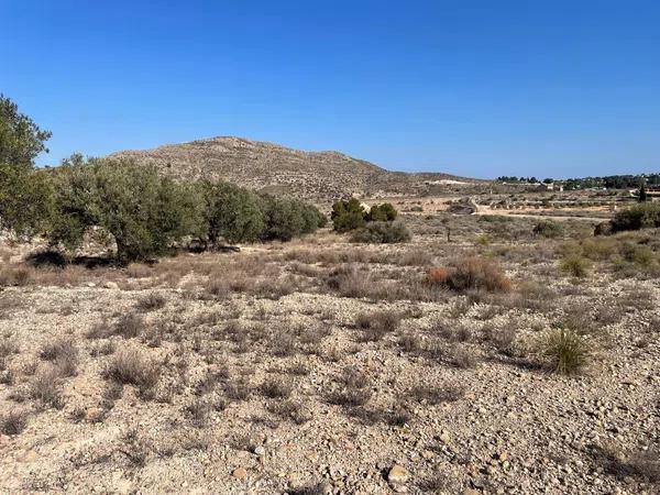 Terreno en Partida Serra la Vella, 29