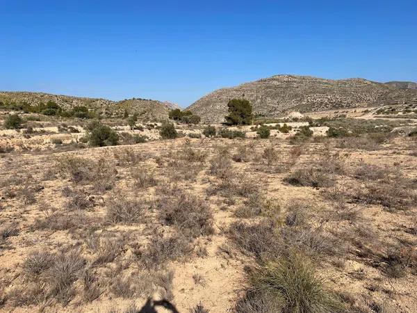 Terreno en Partida Serra la Vella, 29