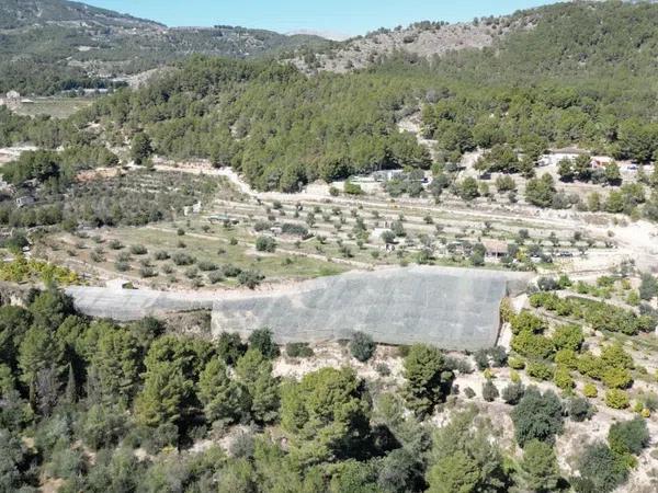 Terreno en Partida Campulles, 21