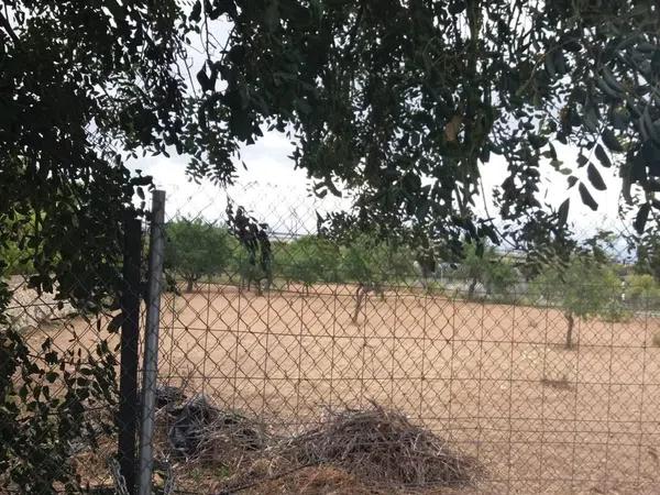 Terreno en Banyeres de Mariola