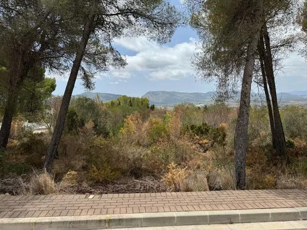 Terreno en Montgó - Ermita