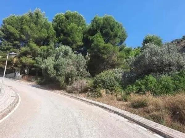 Terreno en Jalón