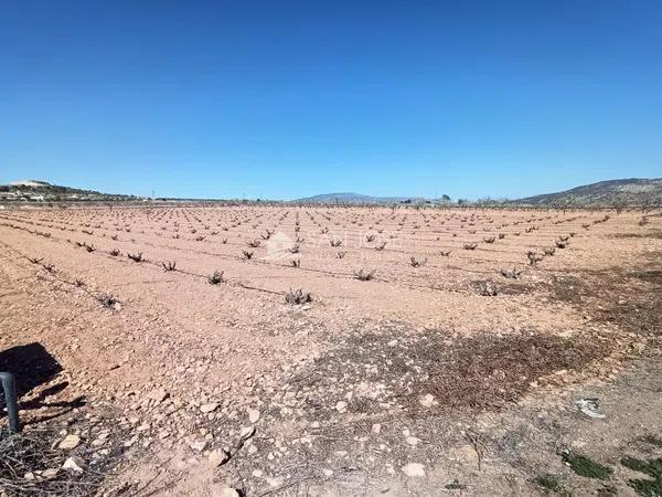 Terreno en Pinoso