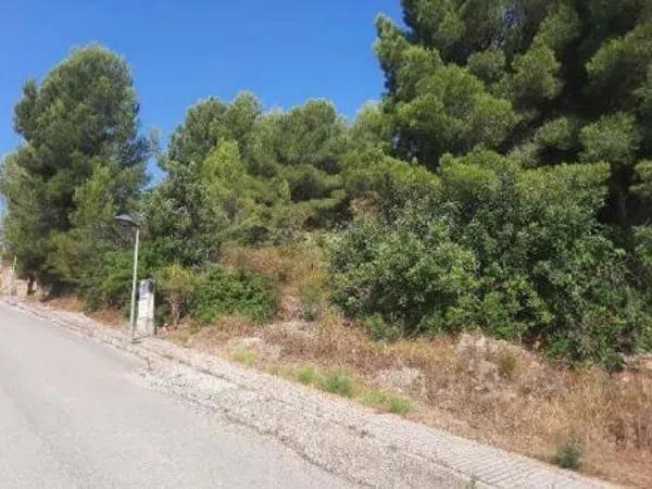 Terreno en Urbanización la Almazara