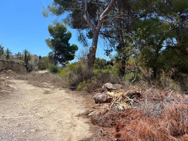 Terreno en La Viña - Montemar - San Jaime