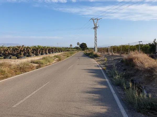 Terreno en La marina poligono 49 parcela 92, 92