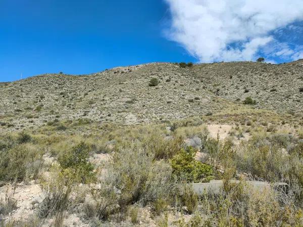 Terreno en Hondón de las Nieves