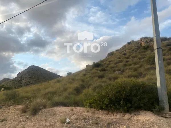 Terreno en avenida Serreta Ramos