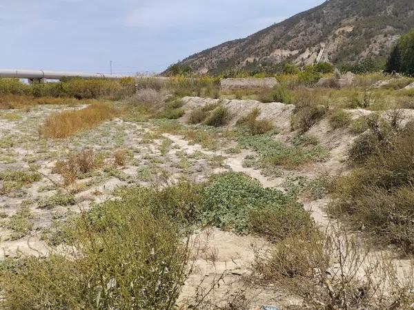 Terreno en Desamparados-Hurchillo-Torremendo