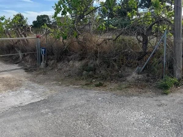 Terreno en Benijofar