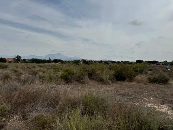 Terreno en calle de la Tomata s/n