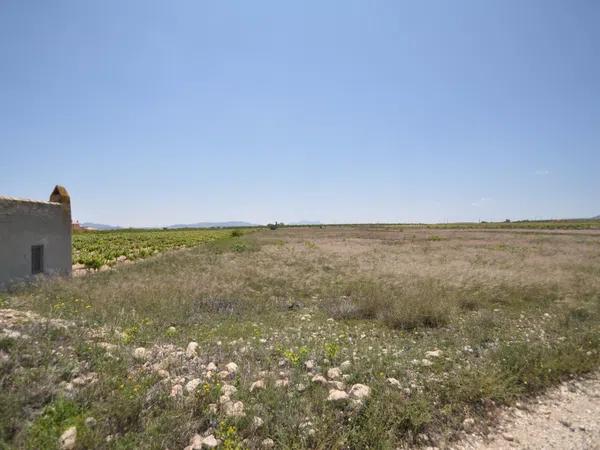 Terreno en Pinoso