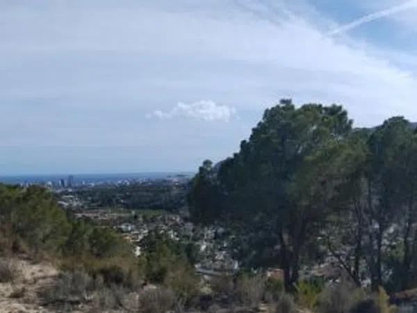 Terreno en Partida la Empedrola