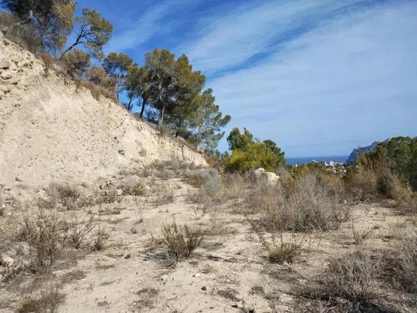 Terreno en Partida la Empedrola