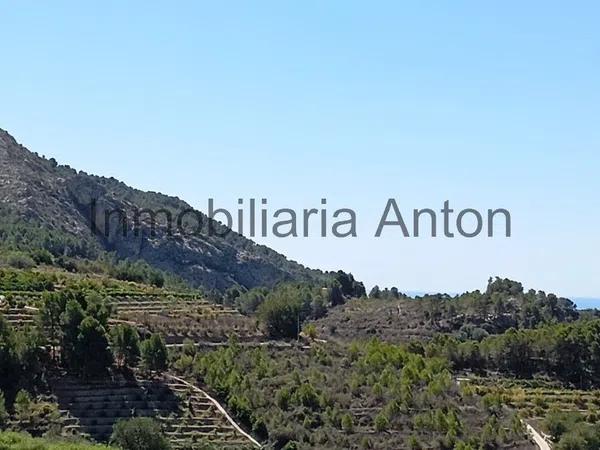 Terreno en Bolulla