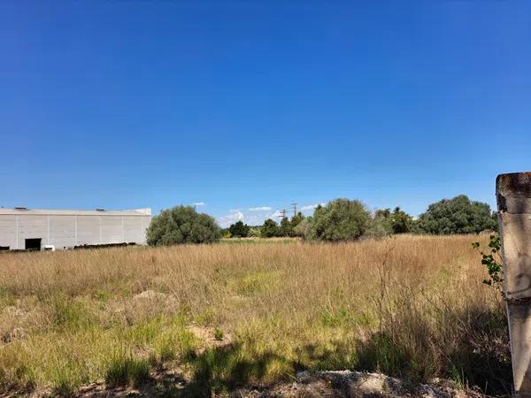 Terreno en La Pedrera-Vessanes