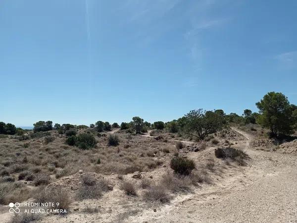 Terreno en Partida el Boter