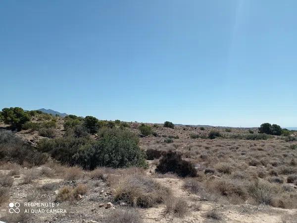 Terreno en Partida el Boter