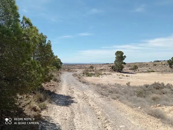 Terreno en Partida el Boter