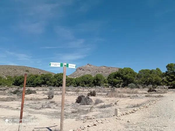 Terreno en Partida el Boter