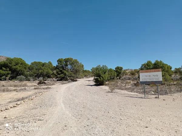 Terreno en Partida el Boter