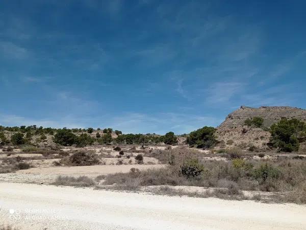 Terreno en Partida el Boter