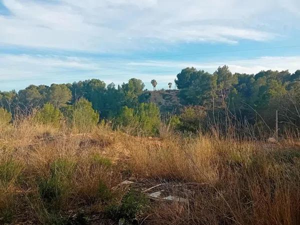 Terreno en Colonia Escandinavia-Cautivador