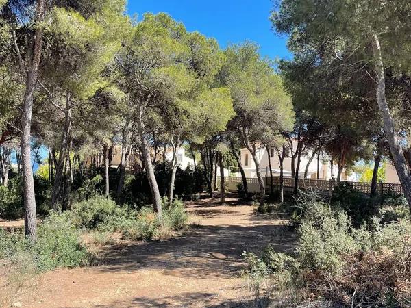 Terreno en calle Cap Negre, 2